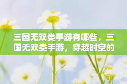 三国无双类手游有哪些，三国无双类手游，穿越时空的战场与英雄梦想