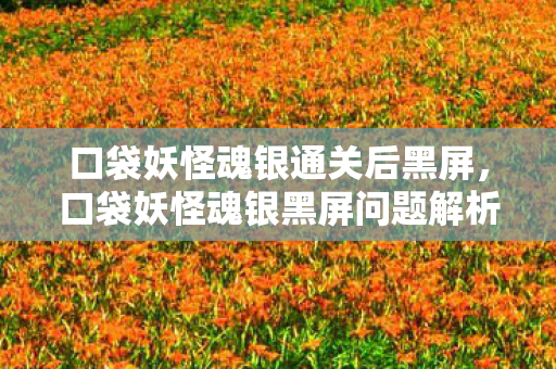 口袋妖怪魂银通关后黑屏，口袋妖怪魂银黑屏问题解析与解决指南