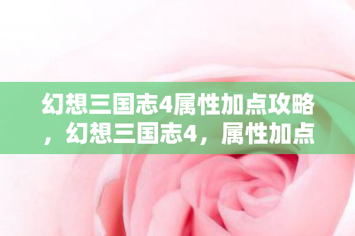 幻想三国志4属性加点攻略，幻想三国志4，属性加点策略详解