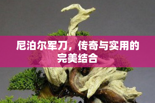 尼泊尔军刀，传奇与实用的完美结合