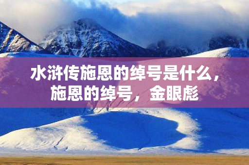 水浒传施恩的绰号是什么，施恩的绰号，金眼彪