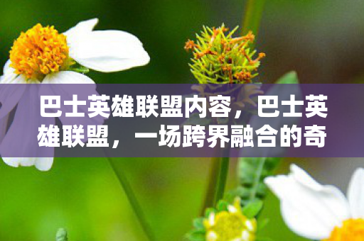 巴士英雄联盟内容，巴士英雄联盟，一场跨界融合的奇妙旅程