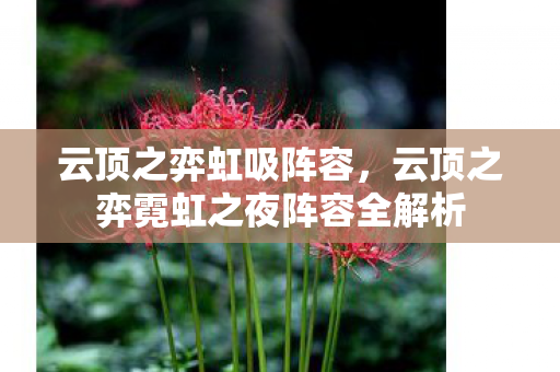 云顶之弈虹吸阵容，云顶之弈霓虹之夜阵容全解析