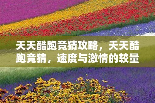 天天酷跑竞猜攻略，天天酷跑竞猜，速度与激情的较量