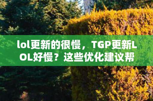 lol更新的很慢，TGP更新LOL好慢？这些优化建议帮你提速！