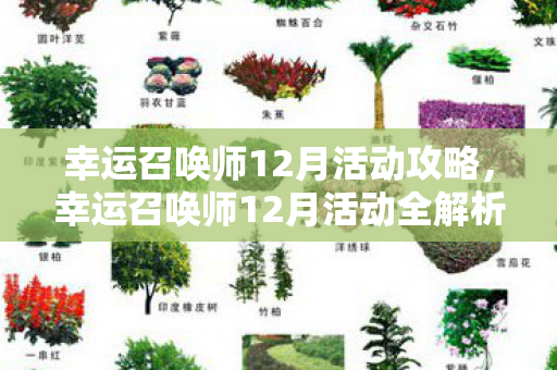 幸运召唤师12月活动攻略，幸运召唤师12月活动全解析，解锁你的年度惊喜！