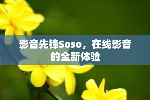 影音先锋Soso，在线影音的全新体验
