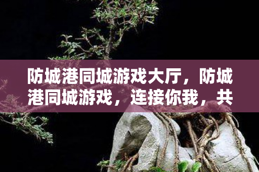 防城港同城游戏大厅，防城港同城游戏，连接你我，共享欢乐