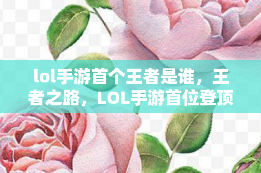 lol手游首个王者是谁，王者之路，LOL手游首位登顶者的传奇故事