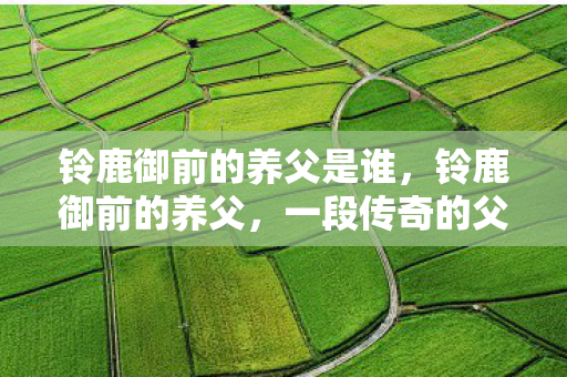 铃鹿御前的养父是谁，铃鹿御前的养父，一段传奇的父子情