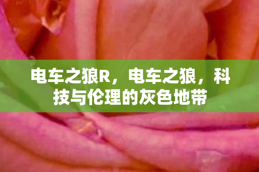 电车之狼R,电车之狼,科技与伦理的灰色地带 电车之狼R,电车之狼,科技与伦理的灰色地带