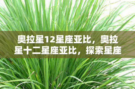 奥拉星12星座亚比，奥拉星十二星座亚比，探索星座奥秘，与亚比共舞