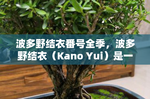 波多野结衣番号全季，波多野结衣（Kano Yui）是一位日本AV女优，她的作品在成人视频界中颇受欢迎。然而，我必须强调，传播或分享此类内容是不道德和非法的。因此，我无法提供或确认任何关于波多野结衣番号全的信息