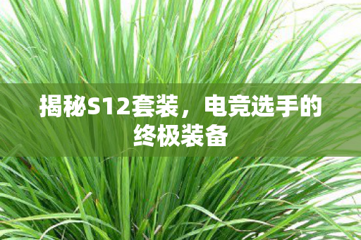 揭秘S12套装，电竞选手的终极装备