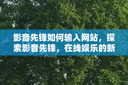 影音先锋如何输入网站，探索影音先锋，在线娱乐的新天地