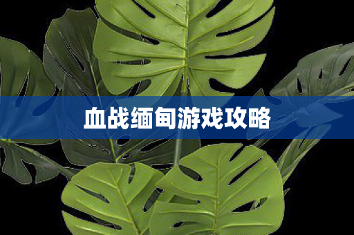 血战缅甸游戏攻略