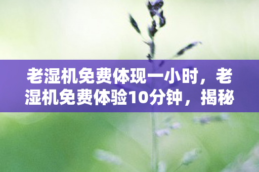 老湿机免费体现一小时,老湿机免费体验10分钟,揭秘短视频时代的灰色产业 老湿机免费体现一小时,老湿机免费体验10分钟,揭秘短视频时代的灰色产业