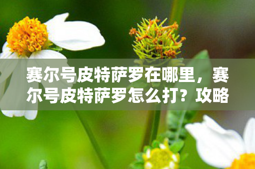 赛尔号皮特萨罗在哪里,赛尔号皮特萨罗怎么打?攻略详解 赛尔号皮特萨罗在哪里,赛尔号皮特萨罗怎么打?攻略详解
