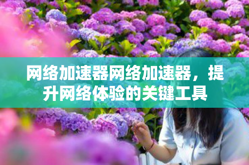 网络加速器网络加速器，提升网络体验的关键工具