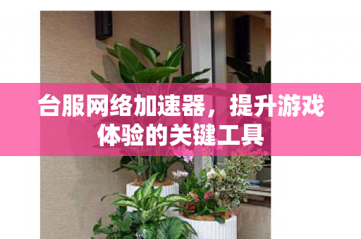 台服网络加速器，提升游戏体验的关键工具