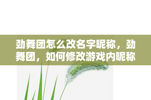 劲舞团怎么改名字昵称，劲舞团，如何修改游戏内昵称