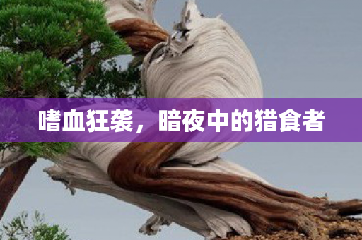 嗜血狂袭，暗夜中的猎食者