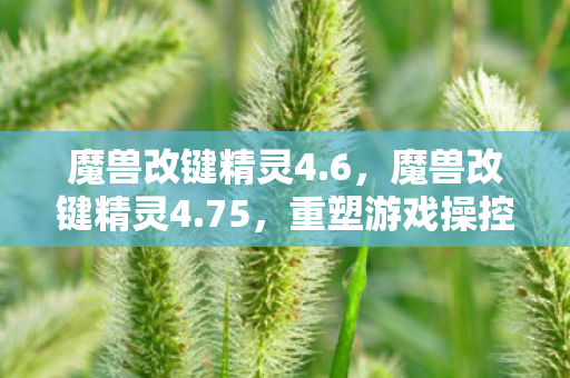 魔兽改键精灵4.6，魔兽改键精灵4.75，重塑游戏操控的利器