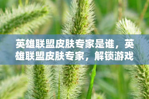 英雄联盟皮肤专家是谁,英雄联盟皮肤专家,解锁游戏世界的秘密 英雄联盟皮肤专家是谁,英雄联盟皮肤专家,解锁游戏世界的秘密