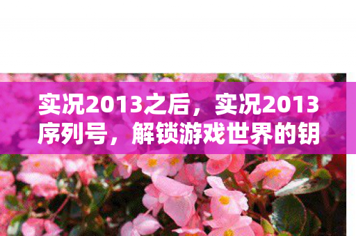 实况2013之后,实况2013序列号,解锁游戏世界的钥匙 实况2013之后,实况2013序列号,解锁游戏世界的钥匙