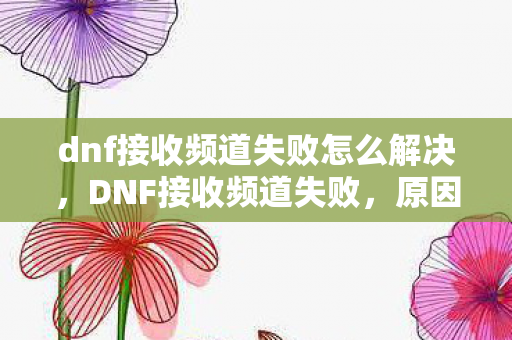 dnf接收频道失败怎么解决，DNF接收频道失败，原因分析与解决策略