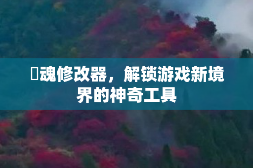 囧魂修改器，解锁游戏新境界的神奇工具