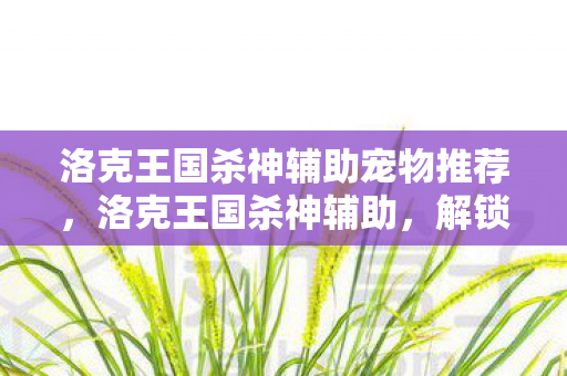 洛克王国杀神辅助宠物推荐，洛克王国杀神辅助，解锁游戏新境界的利器