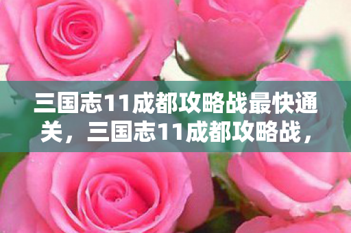 三国志11成都攻略战最快通关，三国志11成都攻略战，蜀汉霸业的转折点