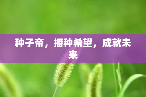 种子帝，播种希望，成就未来