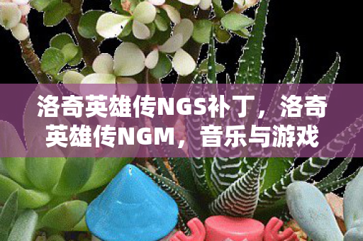 洛奇英雄传NGS补丁，洛奇英雄传NGM，音乐与游戏的完美融合