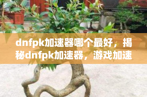 dnfpk加速器哪个最好，揭秘dnfpk加速器，游戏加速的真相与风险