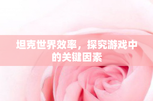 坦克世界效率，探究游戏中的关键因素