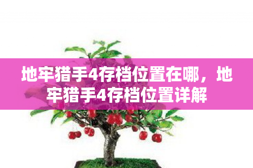 地牢猎手4存档位置在哪，地牢猎手4存档位置详解