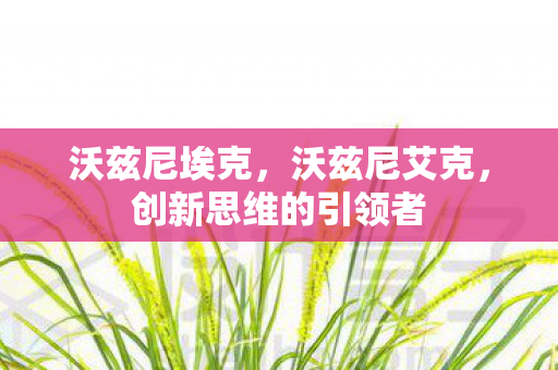 沃兹尼埃克，沃兹尼艾克，创新思维的引领者