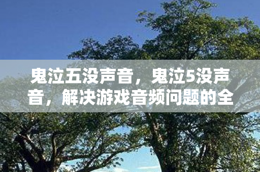 鬼泣五没声音，鬼泣5没声音，解决游戏音频问题的全面指南