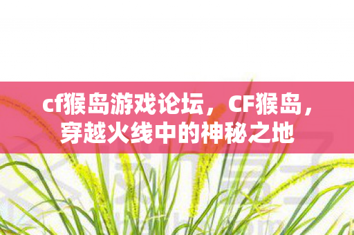 cf猴岛游戏论坛，CF猴岛，穿越火线中的神秘之地