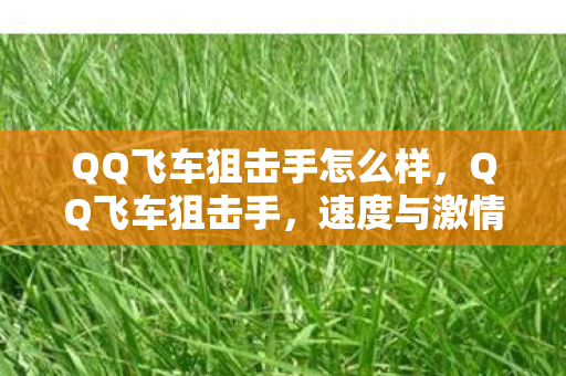 QQ飞车狙击手怎么样，QQ飞车狙击手，速度与激情的较量