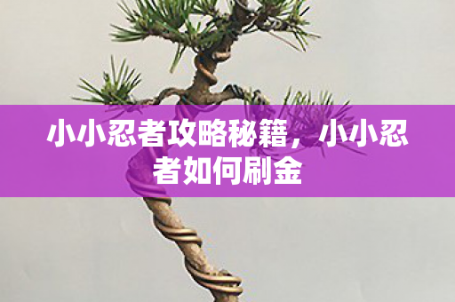 小小忍者攻略秘籍，小小忍者如何刷金