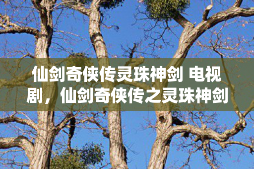 仙剑奇侠传灵珠神剑 电视剧，仙剑奇侠传之灵珠神剑，穿越时空的仙侠传奇