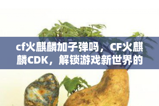 cf火麒麟加子弹吗，CF火麒麟CDK，解锁游戏新世界的神秘钥匙