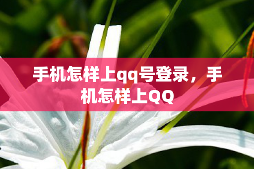 手机怎样上qq号登录，手机怎样上QQ