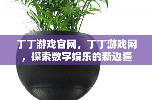 丁丁游戏官网,丁丁游戏网,探索数字娱乐的新边疆 丁丁游戏官网,丁丁游戏网,探索数字娱乐的新边疆