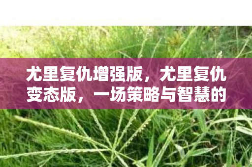 尤里复仇增强版，尤里复仇变态版，一场策略与智慧的较量