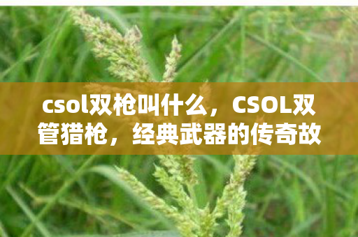 csol双枪叫什么，CSOL双管猎枪，经典武器的传奇故事