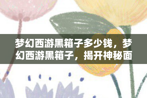 梦幻西游黑箱子多少钱，梦幻西游黑箱子，揭开神秘面纱